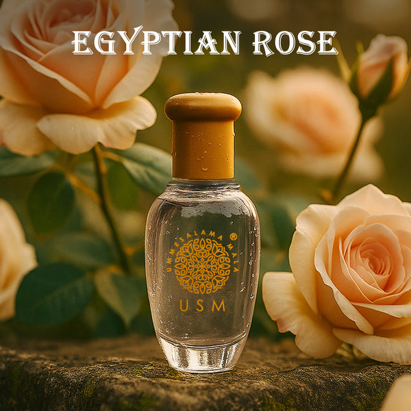 Egyptian Rose